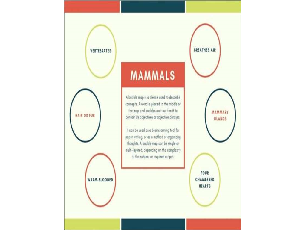 Mammals - Bubble Map | Course, Exam Notes