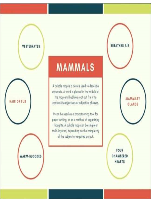 Mammals - Definition and Concept Map