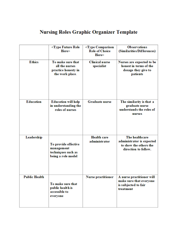 NUR 513 Topic 2 Assignment; Nursing Roles Graphic Organizer