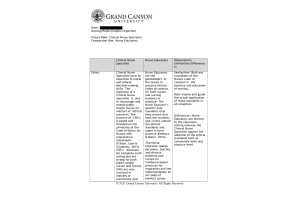 NUR 513 Topic 2 Assignment; Nursing Roles Graphic Organizer