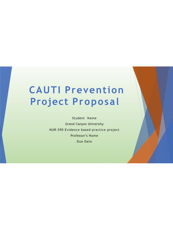 NUR 590 Topic 7 Assignment; CAUTI Prevention Project Proposal Presentation