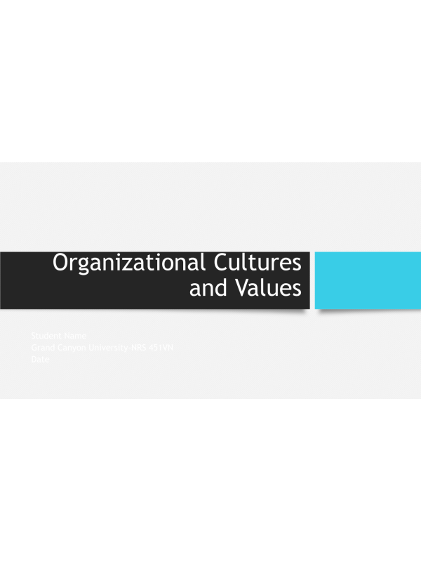 NRS 451VN Topic 4 Assignment; Organizational Culture and Values; PowerPoint Presentation, Speaker Notes - 9 Practical Strategies for Leadership Success