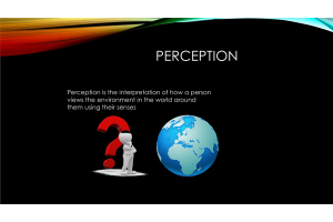 PHI 105 Topic 2 Assignment; Perception Presentation (8 Slides)