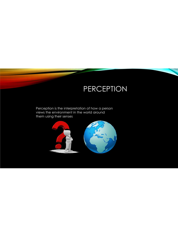 PHI 105 Topic 2 Assignment; Perception Presentation (8 Slides)