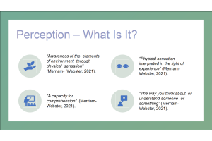 PHI 105 Topic 2 Assignment; Perception Presentation; Senses, Perception, and Critical Thinking