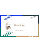 BIOL202 Week 5 Project topic submission; Head Lice