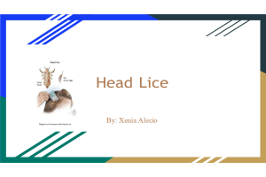 BIOL202 Week 5 Project topic submission; Head Lice