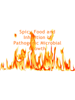 BIOL202 Week 7 Project; Spicy Food and Inhibition of Pathogenic Microbial Growth