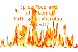 BIOL202 Week 7 Project; Spicy Food and Inhibition of Pathogenic Microbial Growth