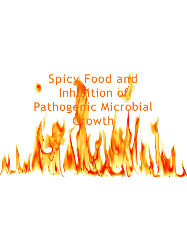 BIOL202 Week 7 Project; Spicy Food and Inhibition of Pathogenic Microbial Growth