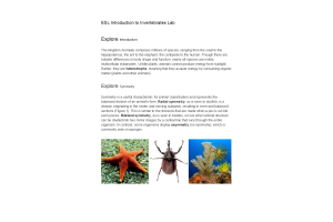 BIOL134 Week 7 Lab Assignment - Introduction to Invertebrates (Info)