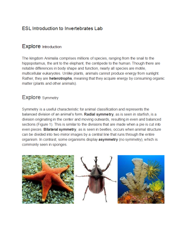 BIOL134 Week 7 Lab Assignment - Introduction to Invertebrates (Info)